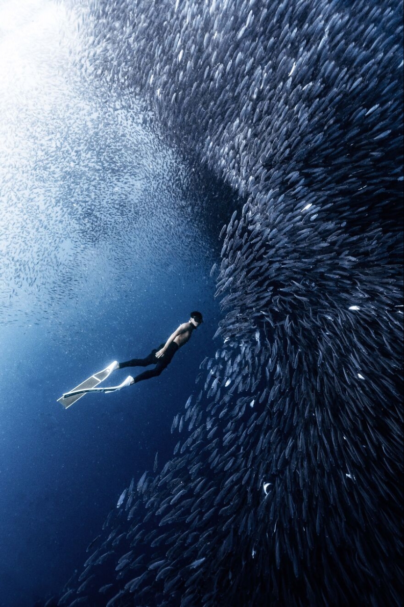 Tokyo International Photo Awards 2023: Capturing The Diverse Beauty Of Nature In 15 Winning Images