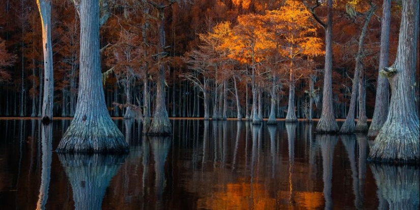 Tokyo International Photo Awards 2023: Capturing The Diverse Beauty Of Nature In 15 Winning Images
