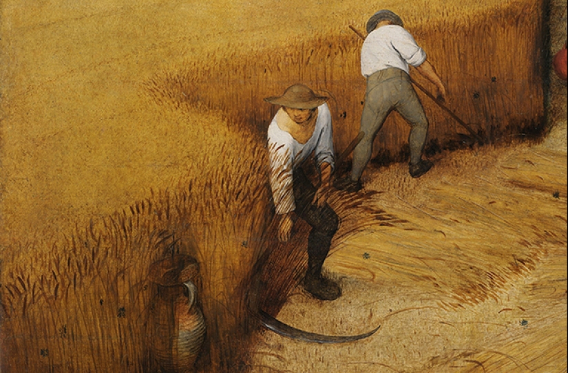 Trigo, ajenjo y otras plantas que cambiaron la historia