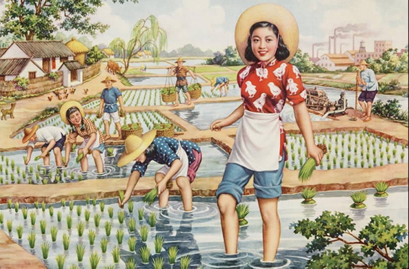 Trigo, ajenjo y otras plantas que cambiaron la historia