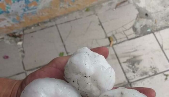 “Una vaca en el tejado”: 10 imágenes salvajes de la Madre Naturaleza haciendo las cosas a su manera “Una vaca en el tejado”: 10 imágenes salvajes de la Madre Naturaleza haciendo las cosas a su manera