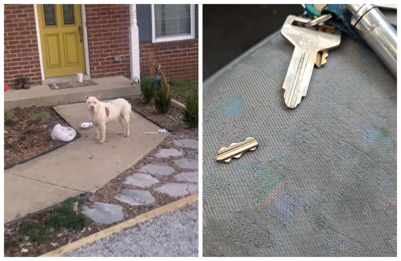 Unlucky: 22 photos from people who don't know what "luck" is