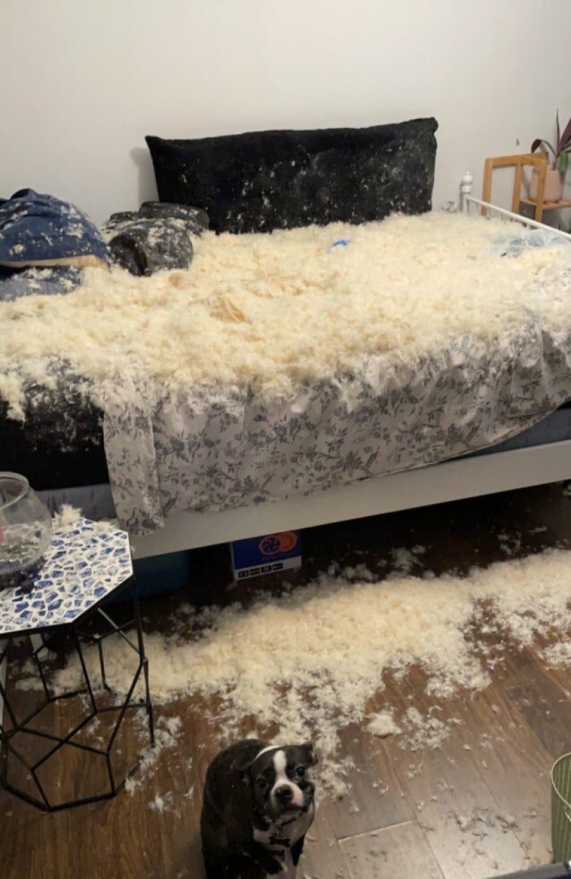 Unlucky: 22 photos from people who don't know what "luck" is