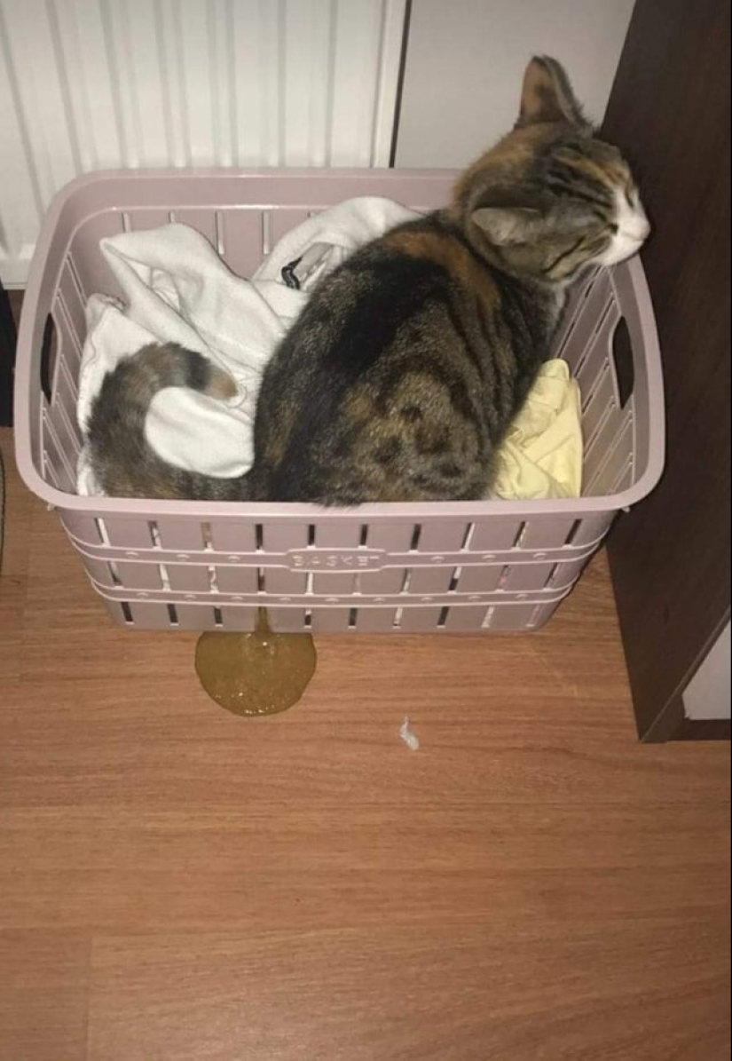 Unlucky: 22 photos from people who don't know what "luck" is