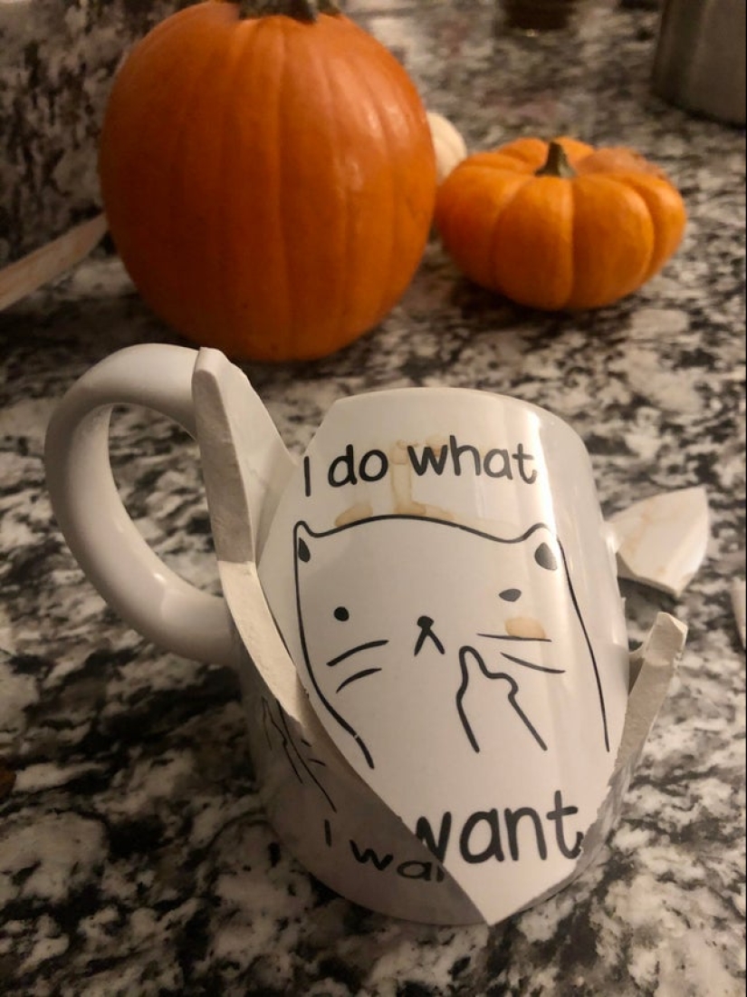 Unlucky: 22 photos from people who don't know what "luck" is