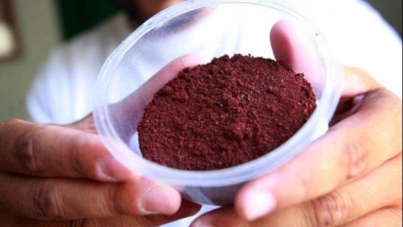 Unpleasant appetite, or 7 disgusting facts about food that you just have to know Unpleasant appetite, or 7 disgusting facts about food that you just have to know