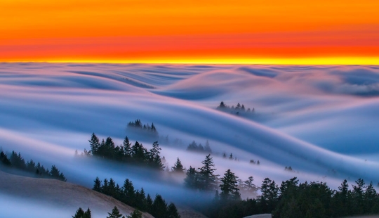 Unrealistically beautiful photographs of waves... fog