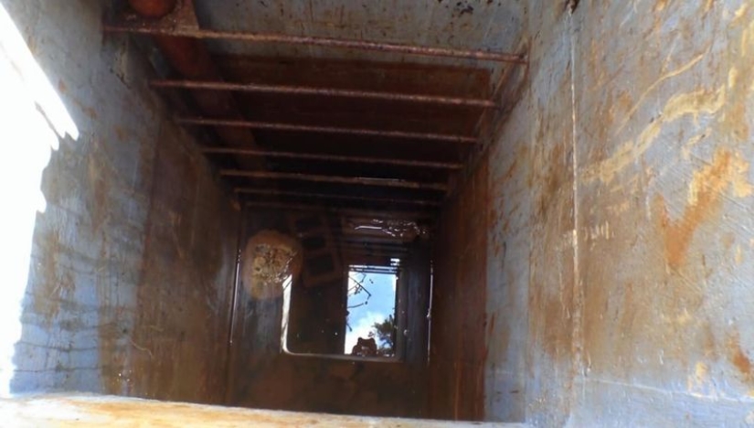 Unusual finds in the courts of ordinary people: Ferrari racing, mammoth bones, and more