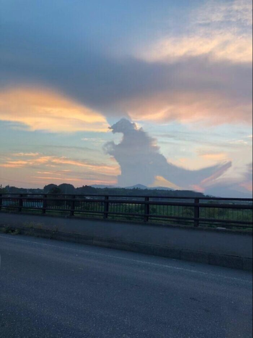 "Veo caras": más de 20 fotos engañosas que tendrás que mirar dos veces "Veo caras": más de 20 fotos engañosas que tendrás que mirar dos veces