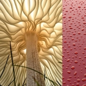 Visual pleasure: 22 photos where everything is perfect