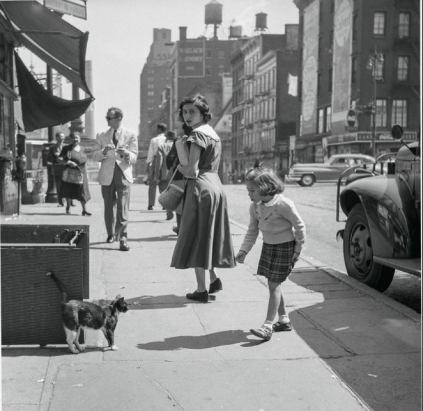 Walter Chandoha is a man who has been photographing cats for 70 years