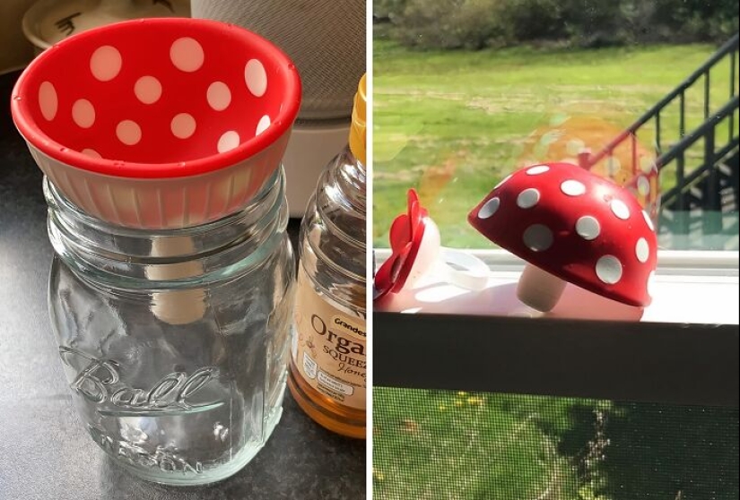 Weird Kitchen Science: 15 Strange Tools That Are Actually Genius