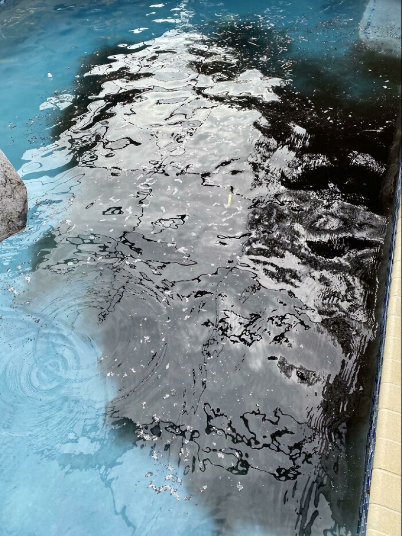 “What Could Go Wrong”: 10 Times People Had A Worse Day Than You While Trying To Clean Their Home