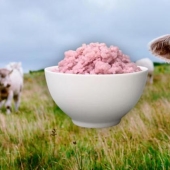 What is “rice meat”: Japanese scientists have invented a new product