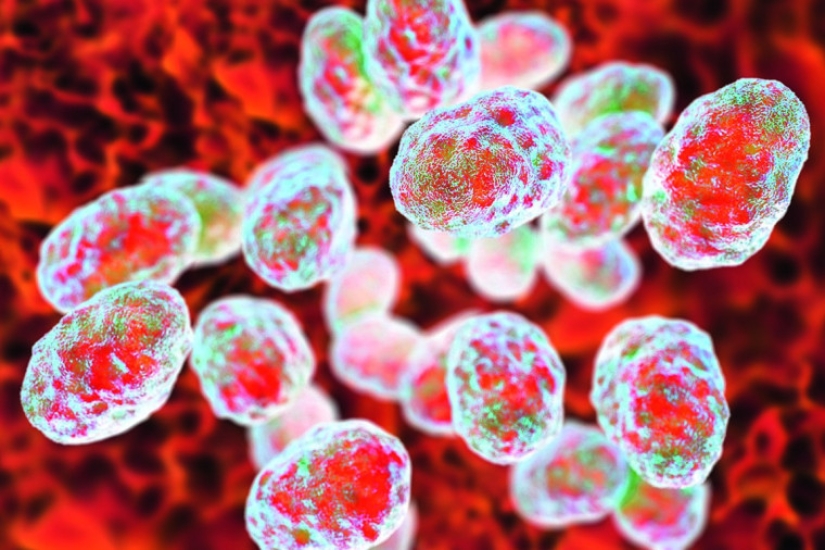 What kind of disease is tularemia and why is it called the “minor plague”