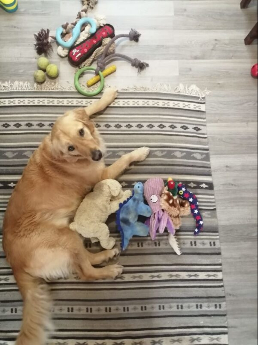 What modern people would take with them to the "afterlife" What modern people would take with them to the "afterlife"