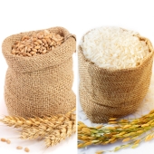 Wheat, wormwood and other plants that changed history