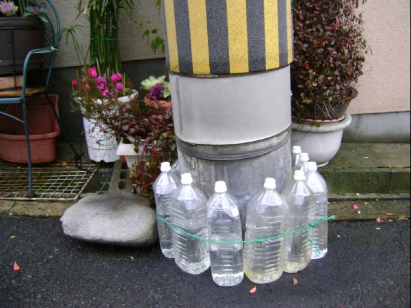 Why do the Japanese put water bottles along fences and poles Why do the Japanese put water bottles along fences and poles