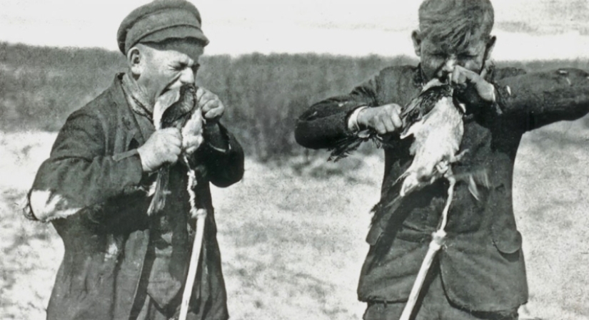Why Germans bit crows: the story of one very strange photograph