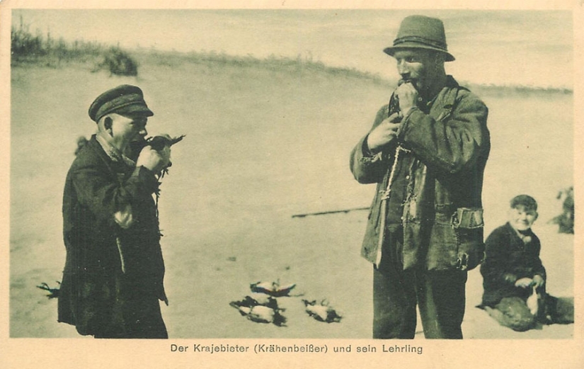 Why Germans bit crows: the story of one very strange photograph