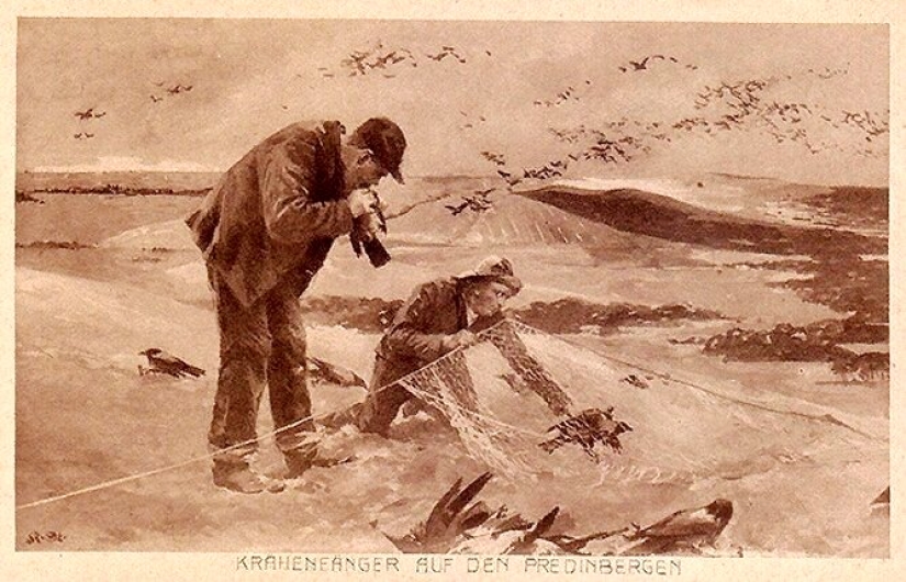 Why Germans bit crows: the story of one very strange photograph