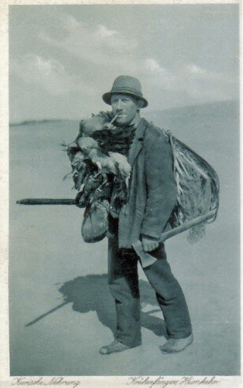 Why Germans bit crows: the story of one very strange photograph