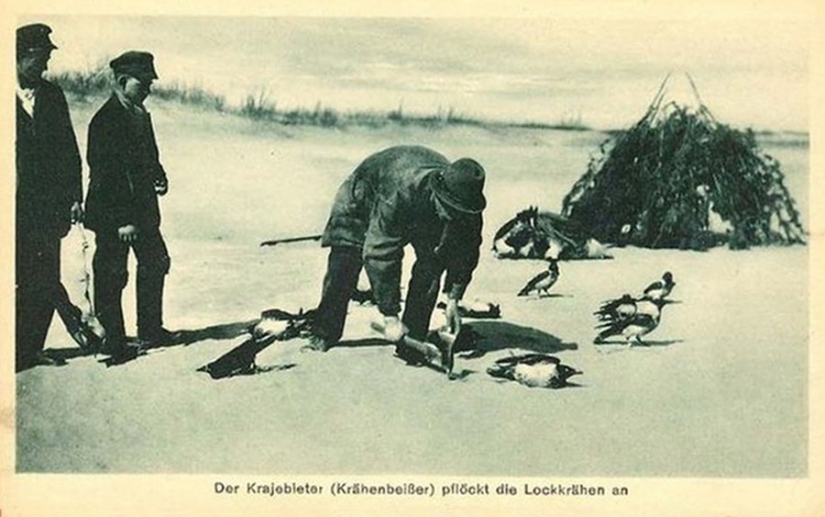 Why Germans bit crows: the story of one very strange photograph