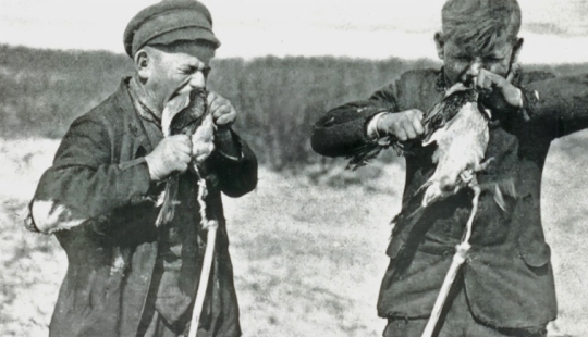 Why Germans bit crows: the story of one very strange photograph