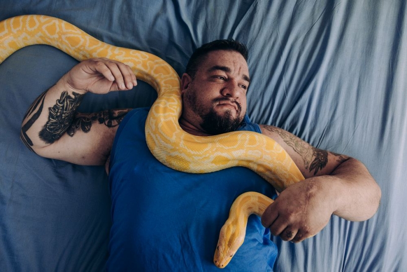 Why the Finns pull to have a pet moose Why the Finns pull to have a pet moose