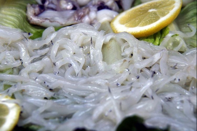 Without taste and color, it costs a thousand euros: how the fry of the river eel turned from animal feed into a delicacy Without taste and color, it costs a thousand euros: how the fry of the river eel turned from animal feed into a delicacy