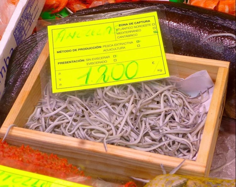 Without taste and color, it costs a thousand euros: how the fry of the river eel turned from animal feed into a delicacy Without taste and color, it costs a thousand euros: how the fry of the river eel turned from animal feed into a delicacy