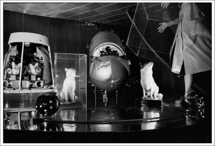 Wonderland: Un cuento de hadas sobre el Monolito Soviético Wonderland: Un cuento de hadas sobre el Monolito Soviético