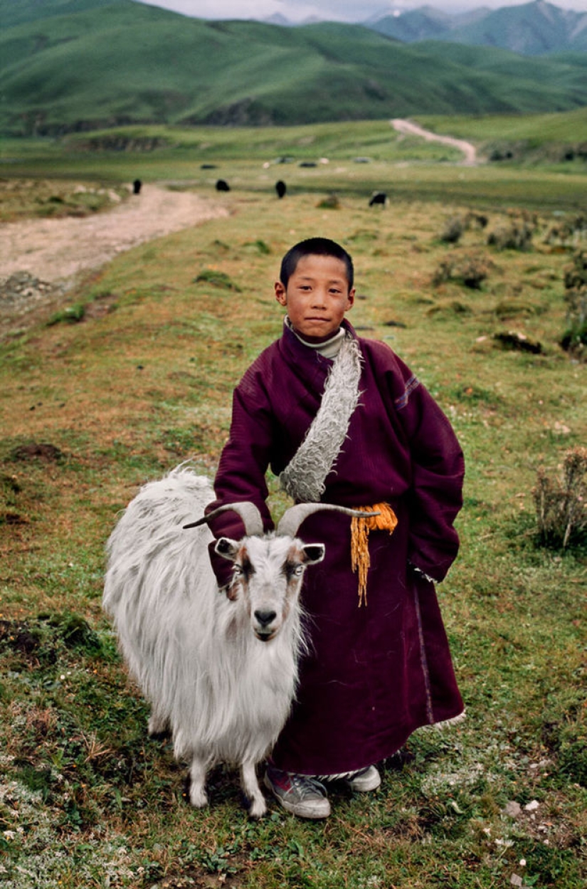 You and I are of the same blood: 35 incredible photos of people and animals from Steve McCurry You and I are of the same blood: 35 incredible photos of people and animals from Steve McCurry