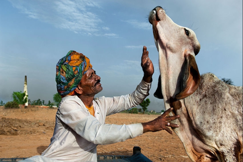 You and I are of the same blood: 35 incredible photos of people and animals from Steve McCurry You and I are of the same blood: 35 incredible photos of people and animals from Steve McCurry