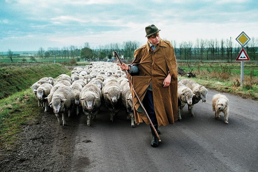 You and I are of the same blood: 35 incredible photos of people and animals from Steve McCurry You and I are of the same blood: 35 incredible photos of people and animals from Steve McCurry