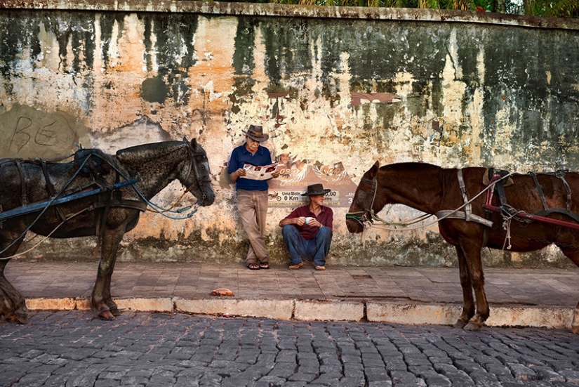 You and I are of the same blood: 35 incredible photos of people and animals from Steve McCurry You and I are of the same blood: 35 incredible photos of people and animals from Steve McCurry