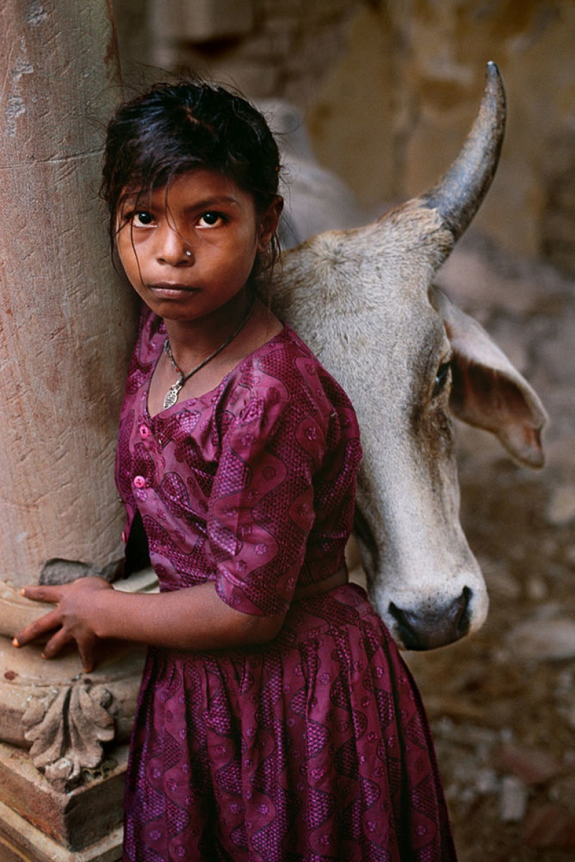 You and I are of the same blood: 35 incredible photos of people and animals from Steve McCurry You and I are of the same blood: 35 incredible photos of people and animals from Steve McCurry