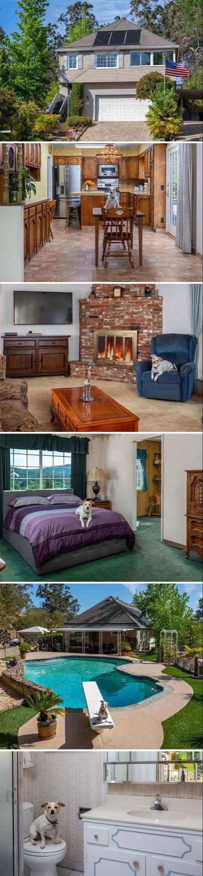 “Zillow Gone Wild”: 10 de los listados más desquiciados de todos los tiempos