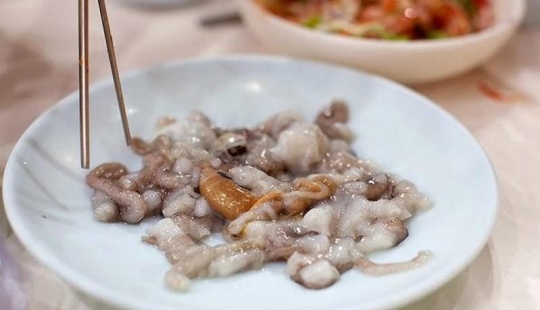 10 alimentos peligrosos 10 alimentos peligrosos