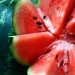 10 amazing recipes for watermelon dishes