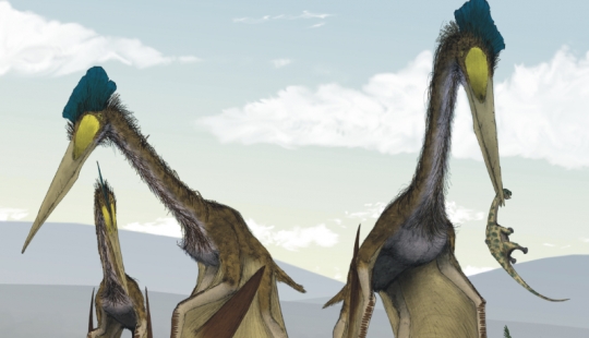 10 animals that have become extinct - fortunately for humans 10 animals that have become extinct - fortunately for humans