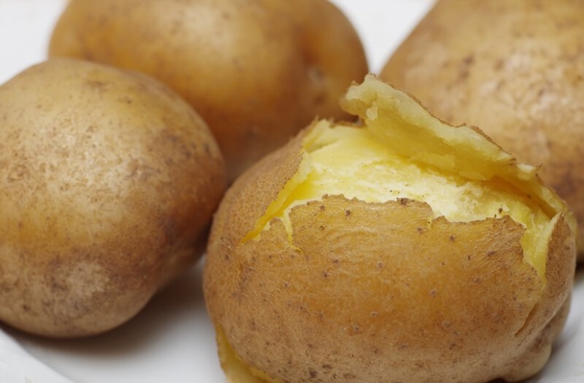 10 bizarre things you will encounter in Germany 10 bizarre things you will encounter in Germany