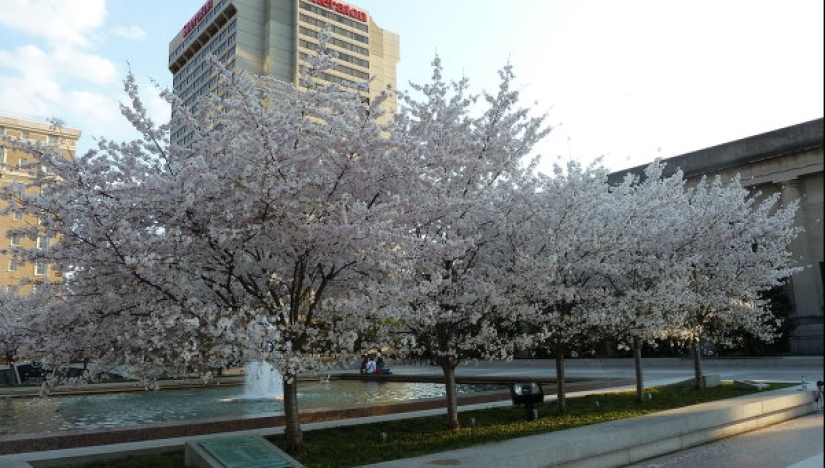 10 características de la vida en los Estados unidos, acerca de lo que usted debe saber antes de ir allí