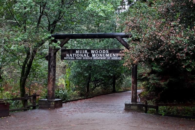 10 características de la vida en los Estados unidos, acerca de lo que usted debe saber antes de ir allí