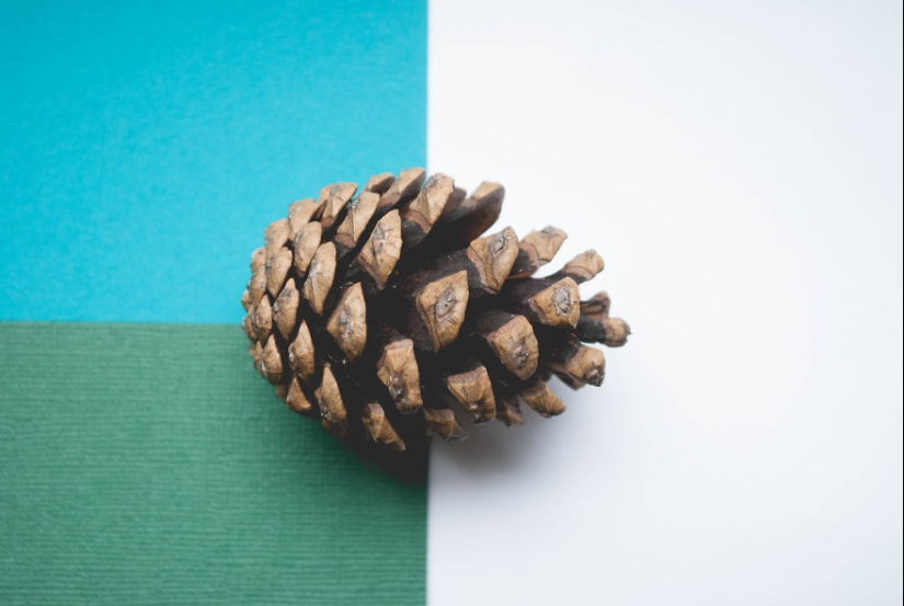 10 consejos sencillos sobre cómo tomar una foto divertida de un bulto común y corriente