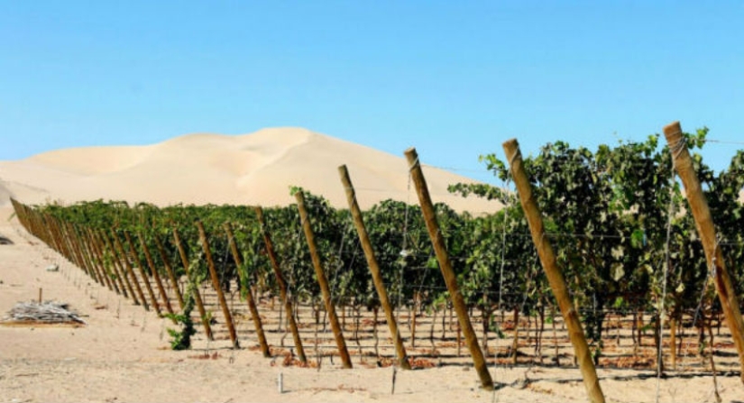 10 countries where, it turns out, they produce delicious wine, and we didn't even know about it 10 countries where, it turns out, they produce delicious wine, and we didn't even know about it