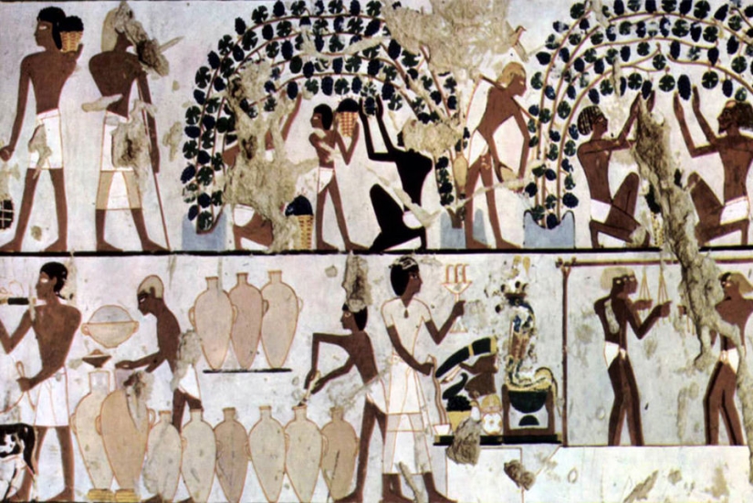 10 countries where, it turns out, they produce delicious wine, and we didn't even know about it 10 countries where, it turns out, they produce delicious wine, and we didn't even know about it