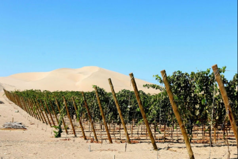 10 countries where, it turns out, they produce delicious wine, and we didn't even know about it 10 countries where, it turns out, they produce delicious wine, and we didn't even know about it