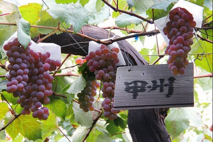 10 countries where, it turns out, they produce delicious wine, and we didn't even know about it 10 countries where, it turns out, they produce delicious wine, and we didn't even know about it