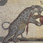 10 crazy and bloody entertainments held at the Roman Colosseum